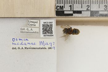 Media type: image;   Entomology 795004 Aspect: Labels